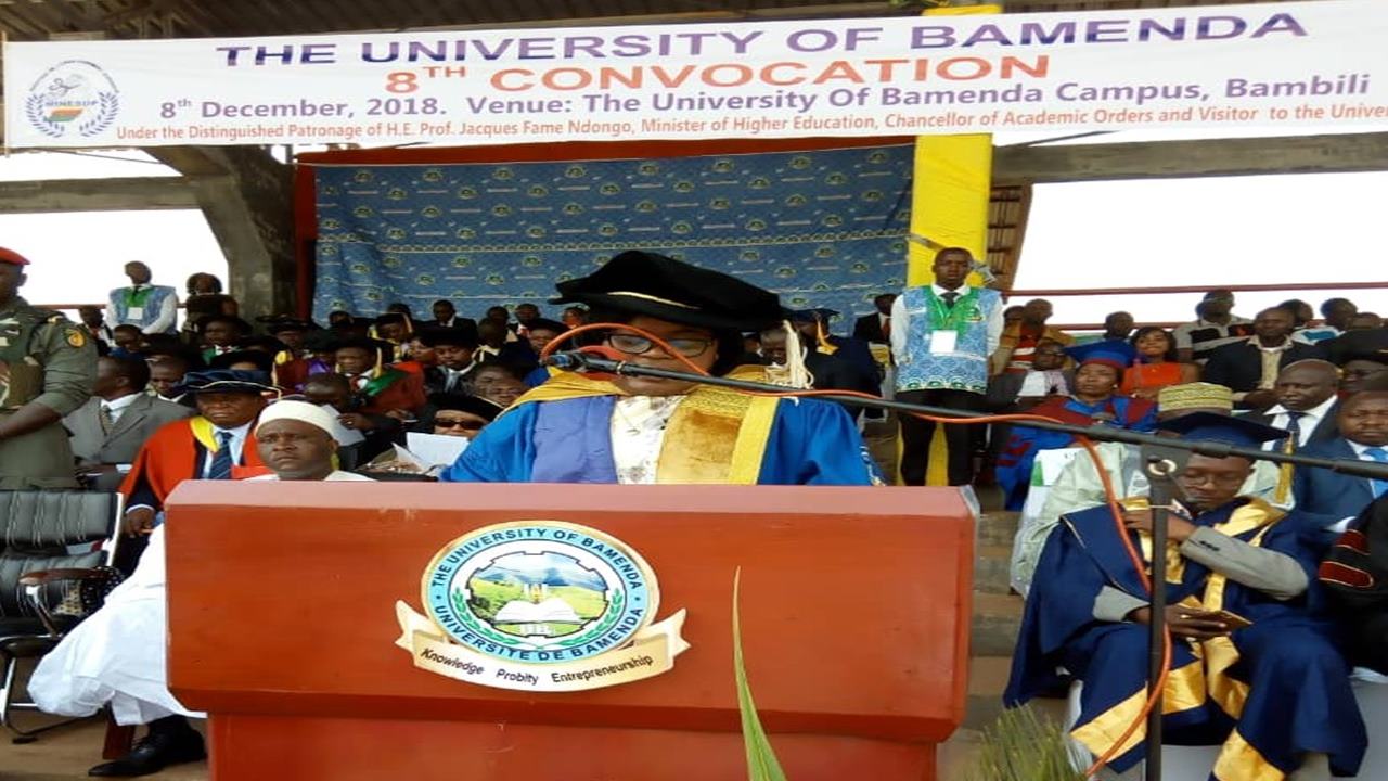Courses Offered In University Of Bamenda