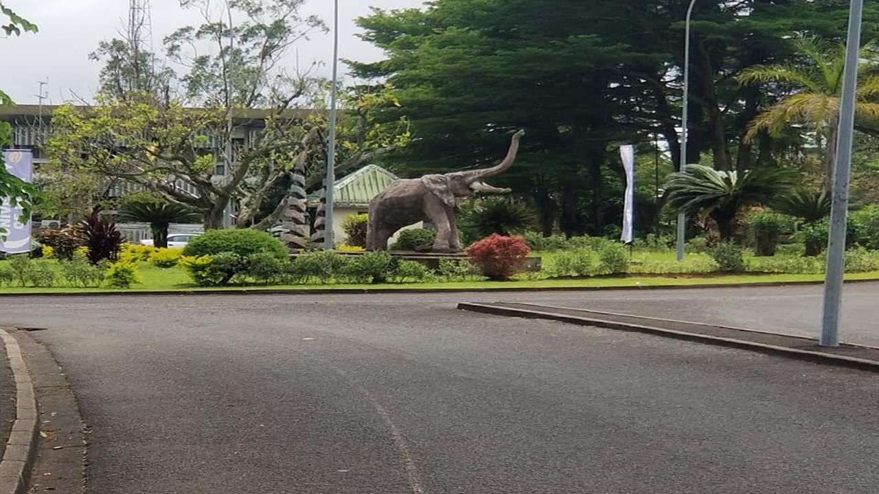 The University Of Buea To Launch Five New Departments