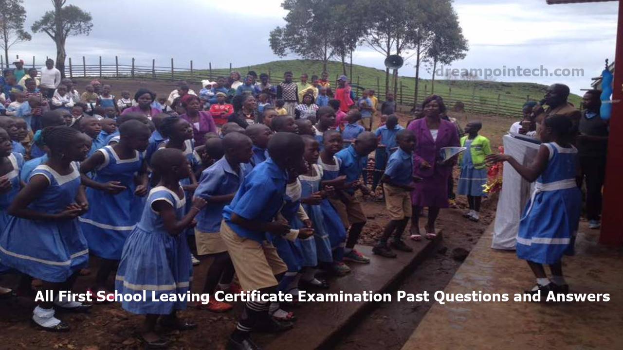 All First School Leaving Certificate Examination Past Questions and Answers PDF