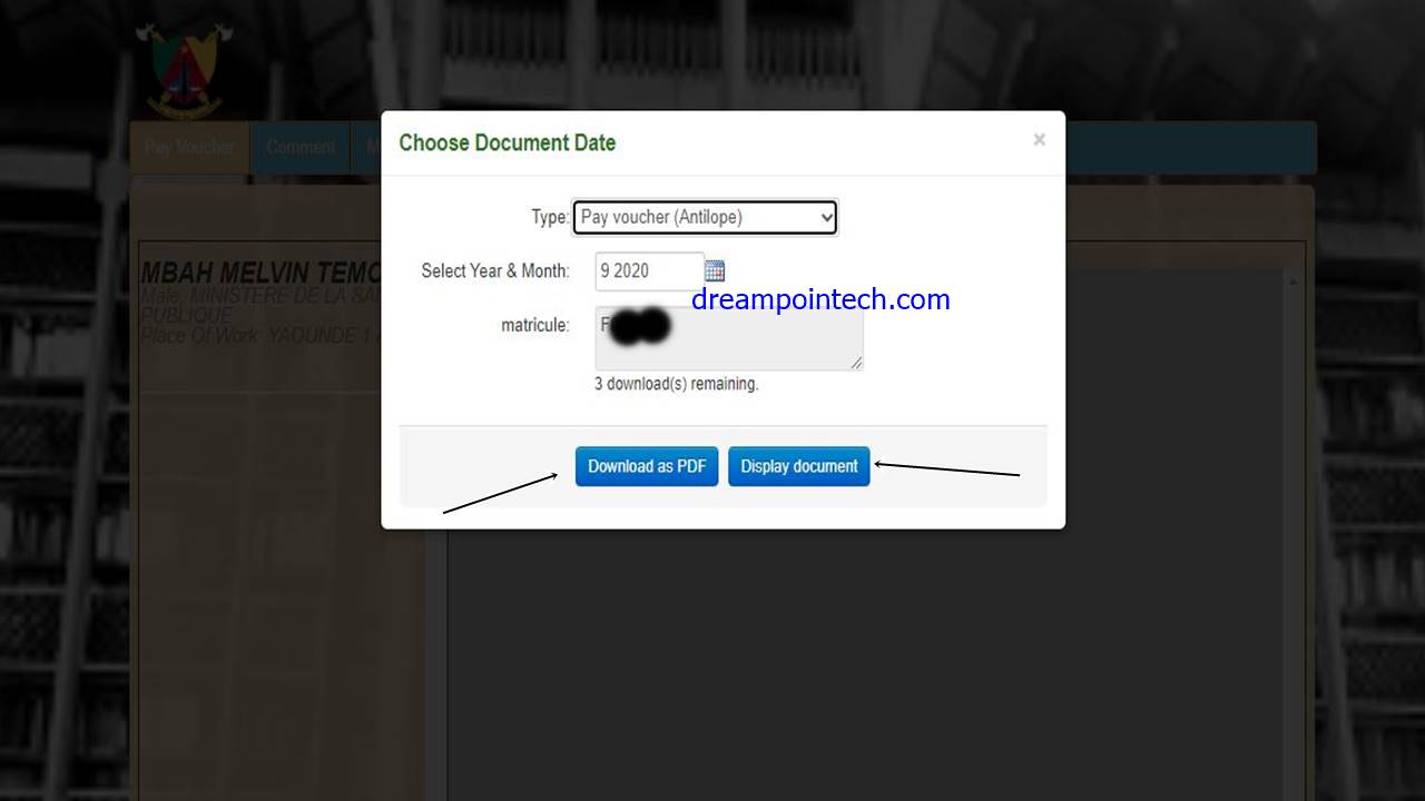 Comment télécharger et imprimer gratuitement vos bulletins de soldes mensuels en ligne au Cameroun?