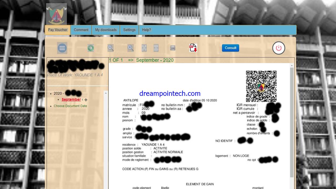 exemple de bulletin de salaire au cameroun