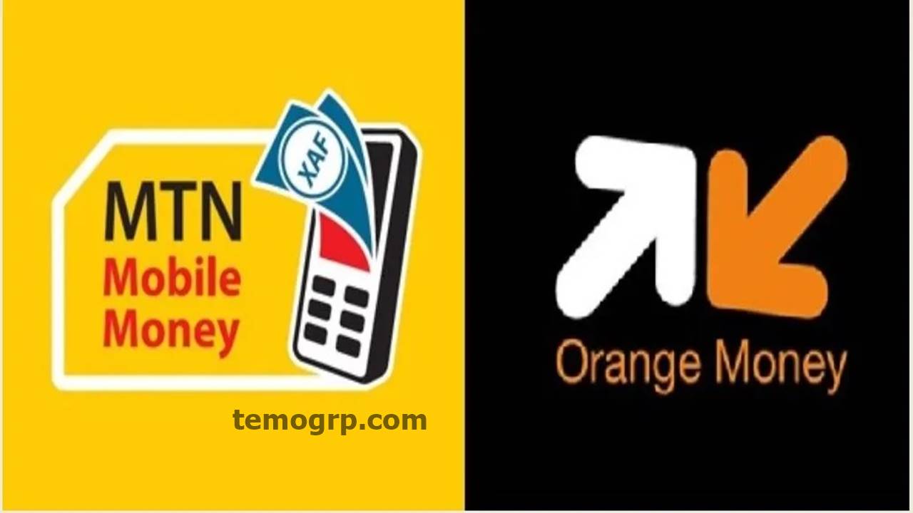 Comment Transférer Orange Money vers MTN Mobile Money au Cameroun?