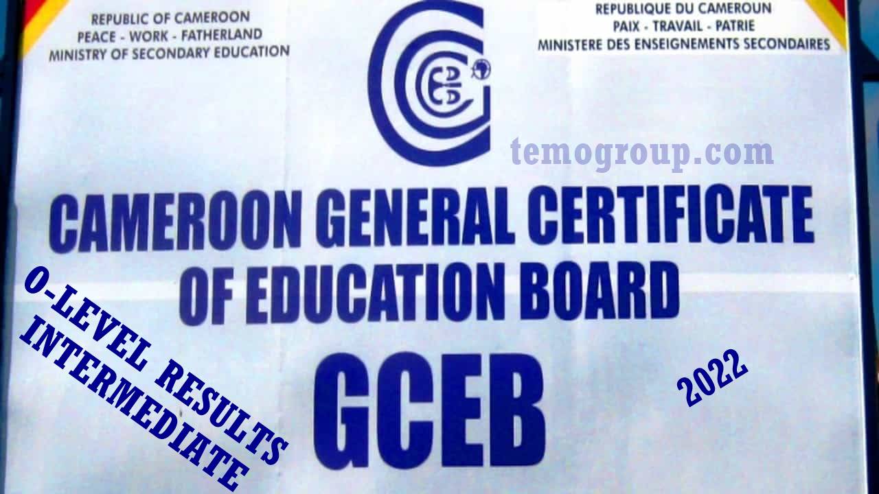 GCE Ordinary Intermediate Level TVE Technical Results 2022