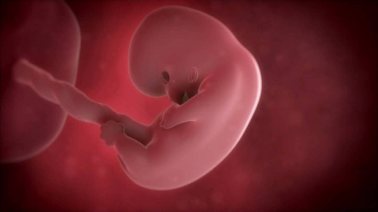 Family versus Community cord blood banking