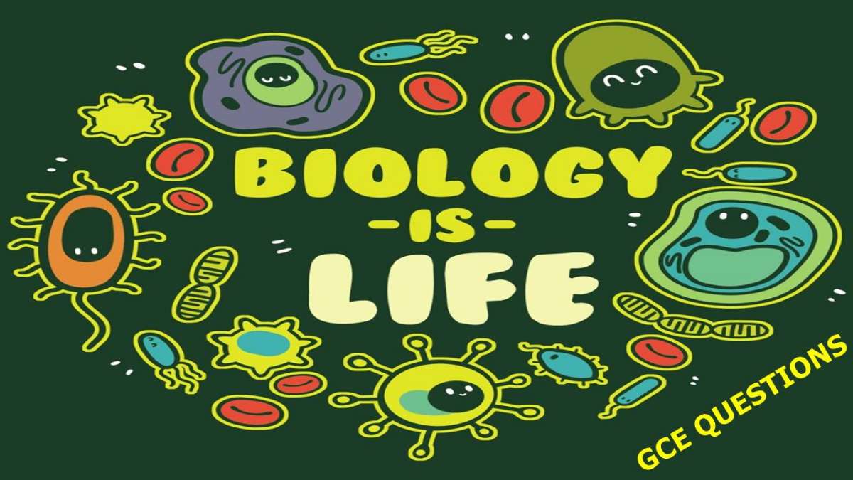 GCE O-Level Biology Past Questions