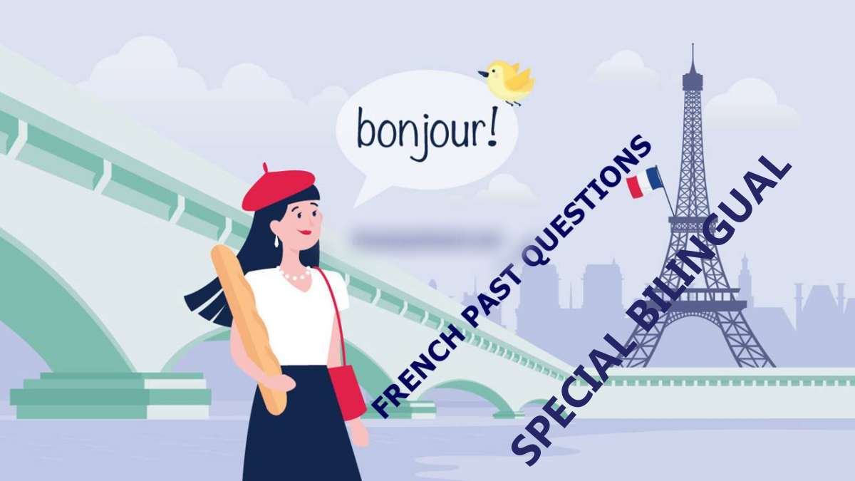 Special Bilingual Education French