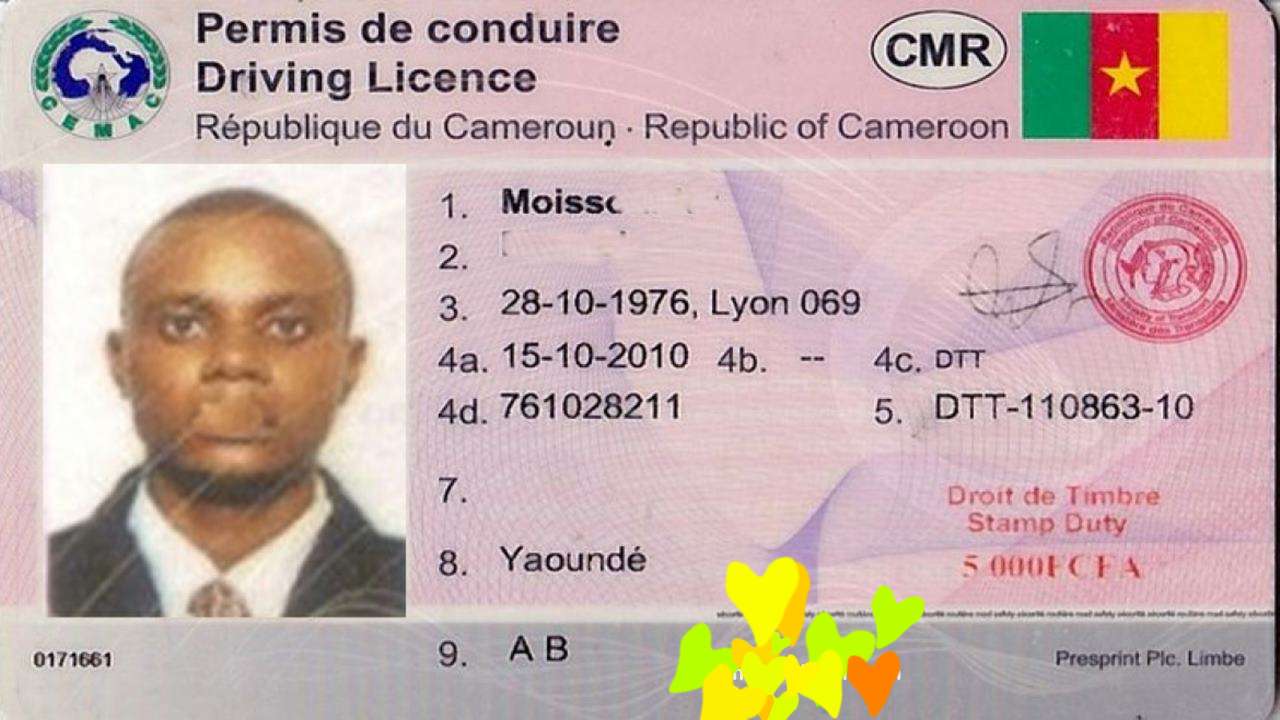 Sample Driver's License in Cameroon