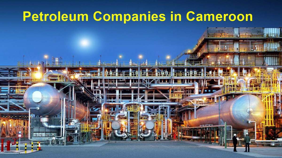 Petroleum companies in Cameroon