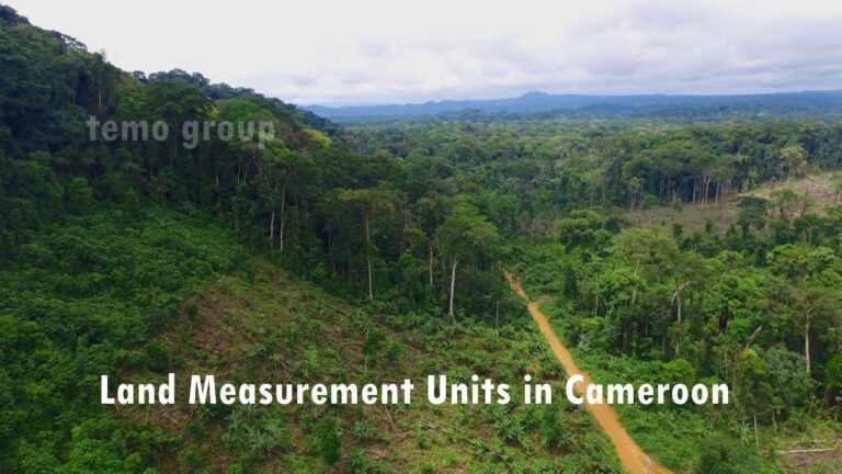 Land Measurement Units in Cameroon