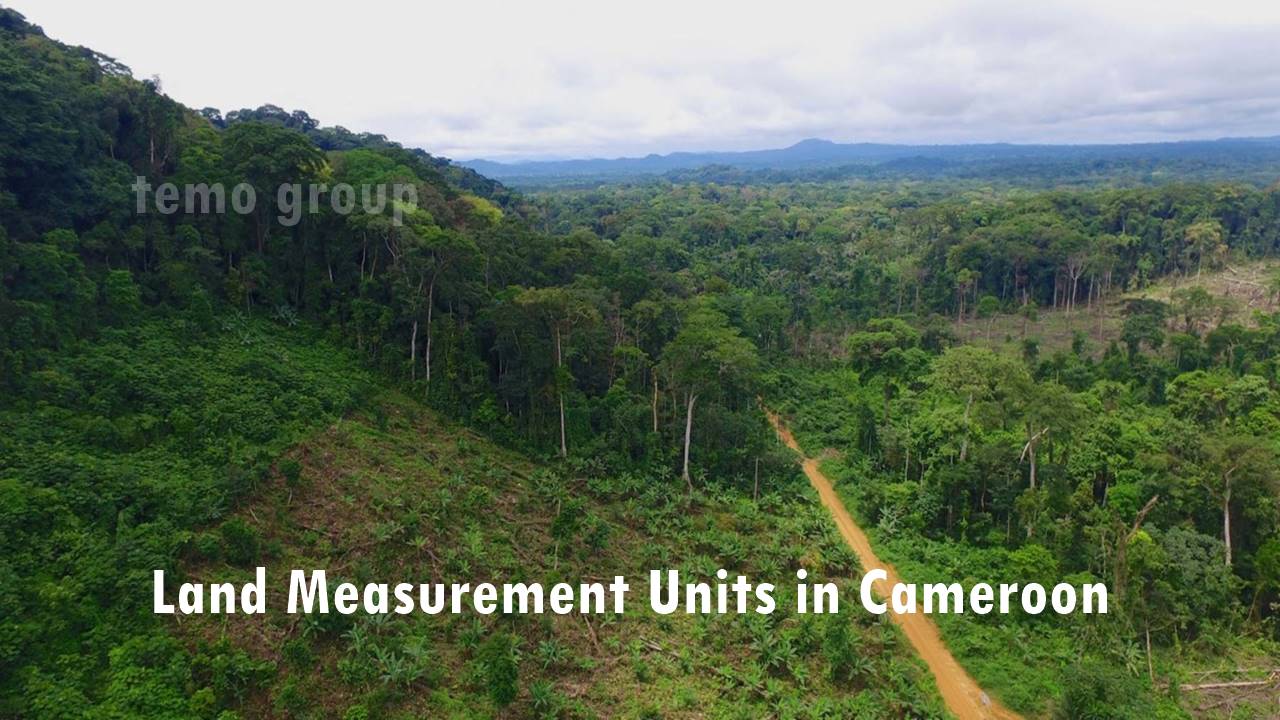 Land Measurement Units in Cameroon