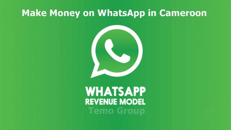 Money on WhatsApp in Cameroon