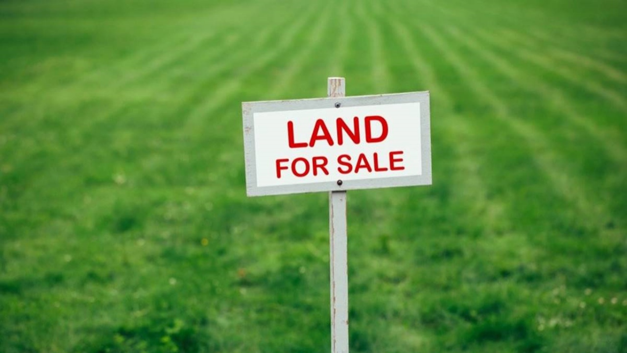 How you can make money through the purchase and sale of land