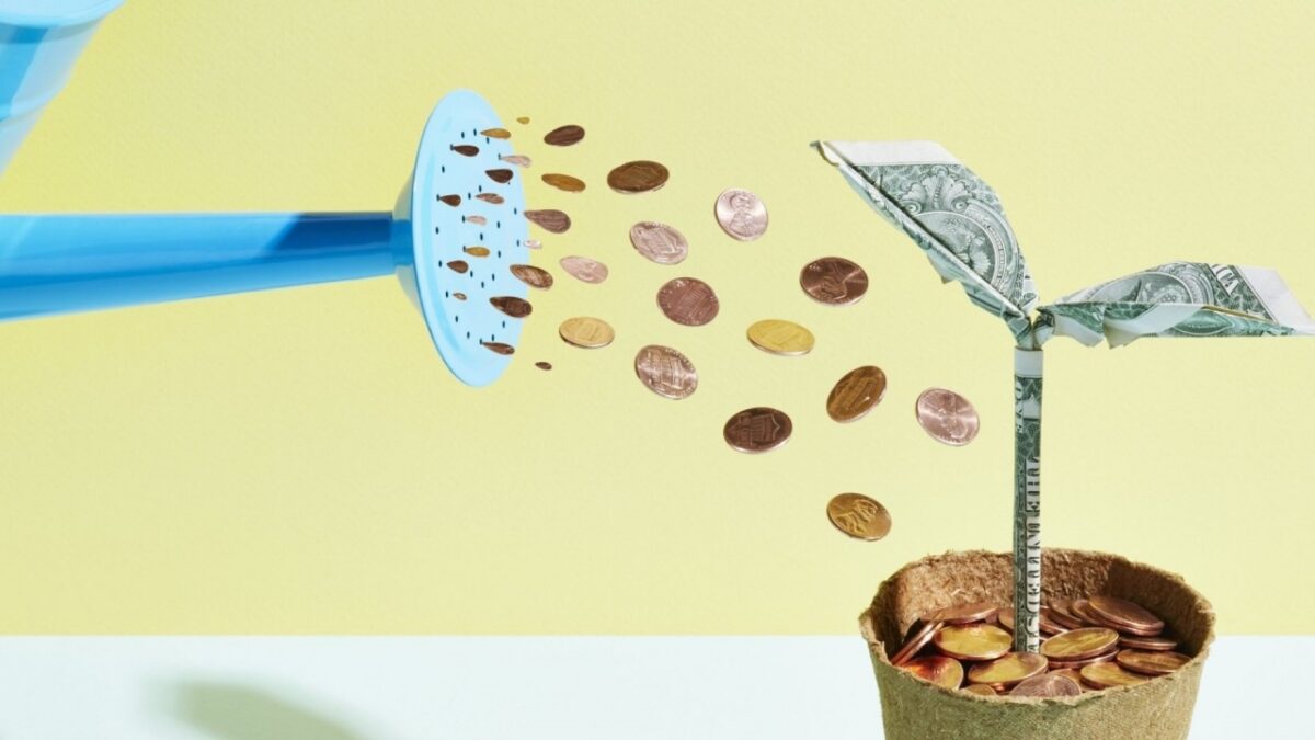 Guide on capital as an important factor for a successful pepper business in Cameroon