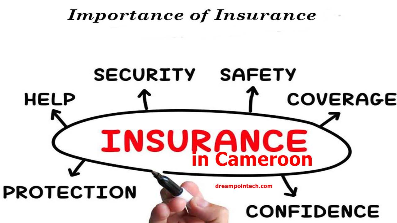 Insurance Policy in Cameroon