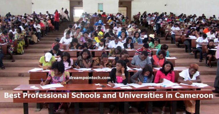 Best Professional Schools and Universities in Cameroon