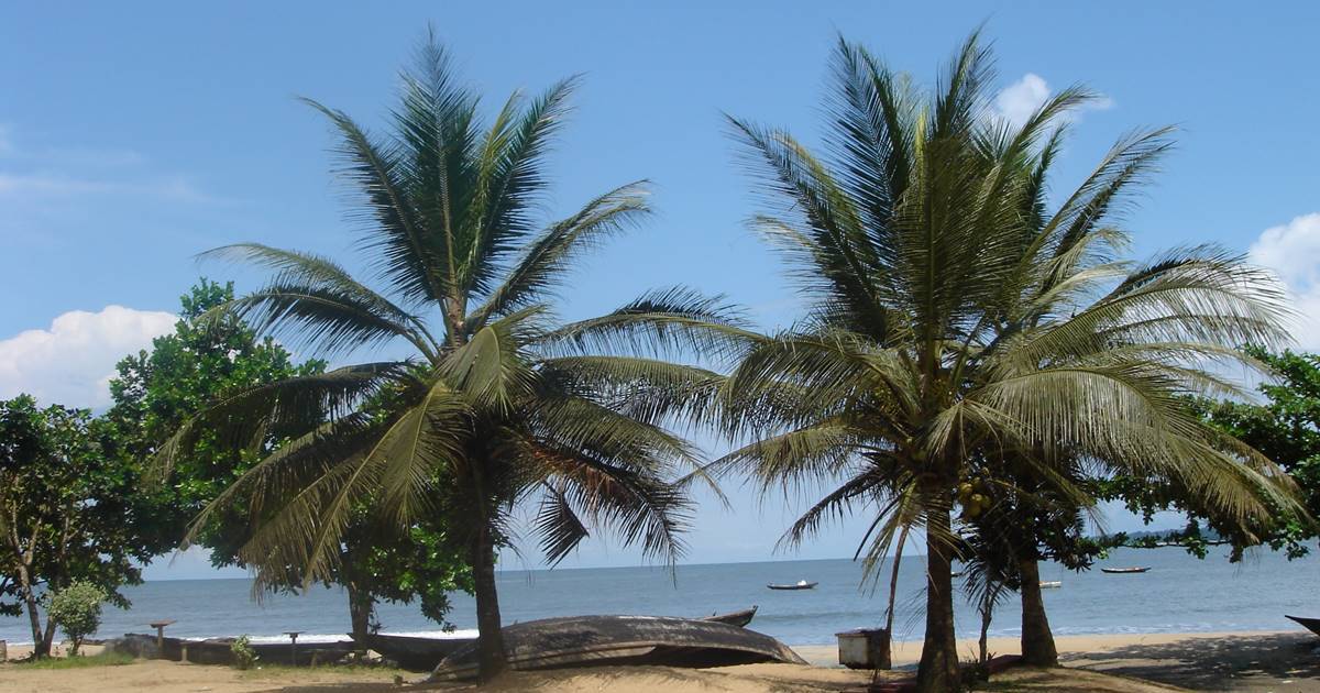 Kribi