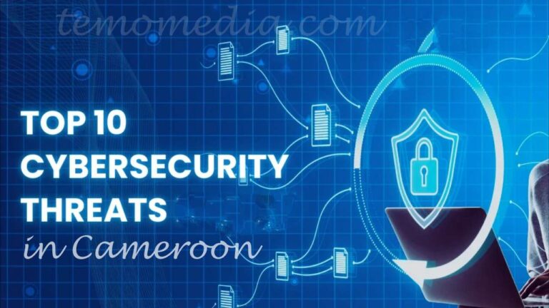 Cybersecurity Vulnerabilities in Cameroon