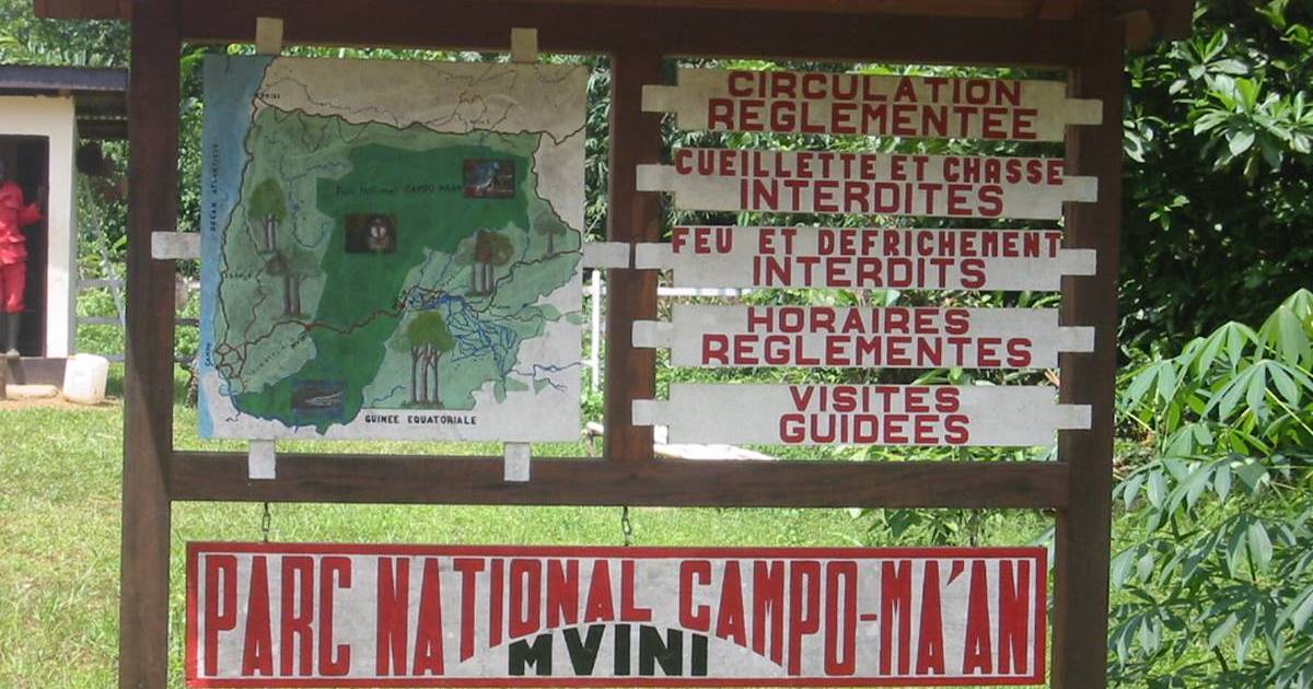 Campo Ma’an National Park