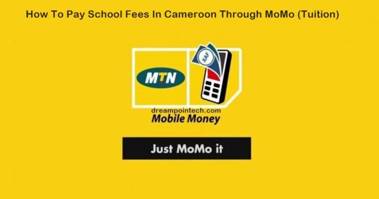 How To Pay School Fees In Cameroon Through MoMo (Tuition)