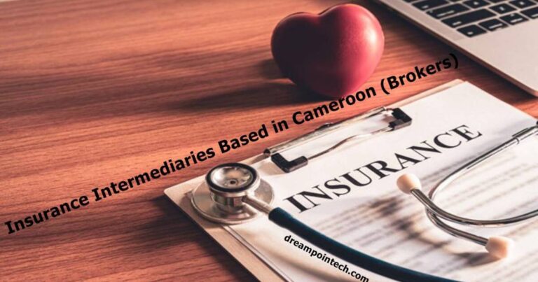 Five Insurance Intermediaries Based in Cameroon