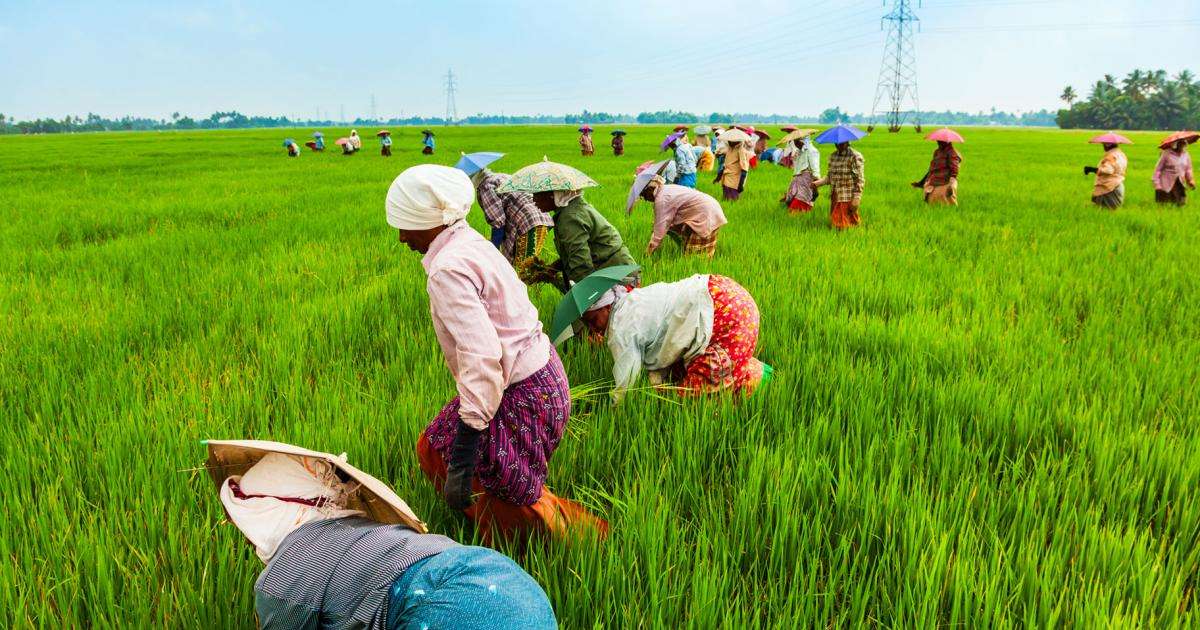 Invest in Agriculture